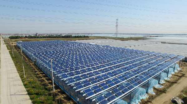 玩彩网·「中国区」官方网站