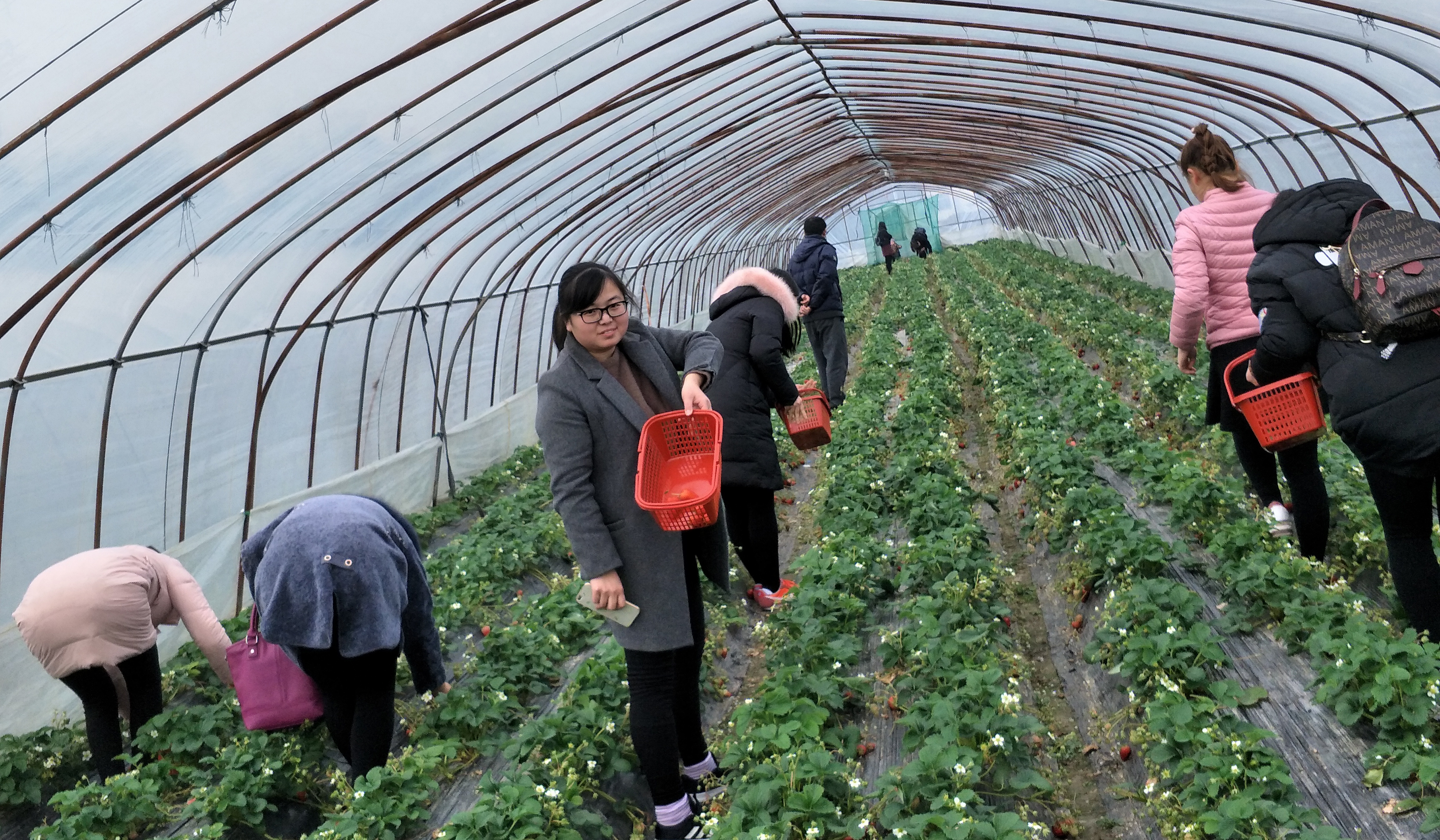 玩彩网·「中国区」官方网站