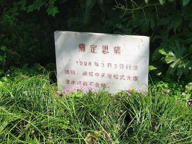 玩彩网·「中国区」官方网站