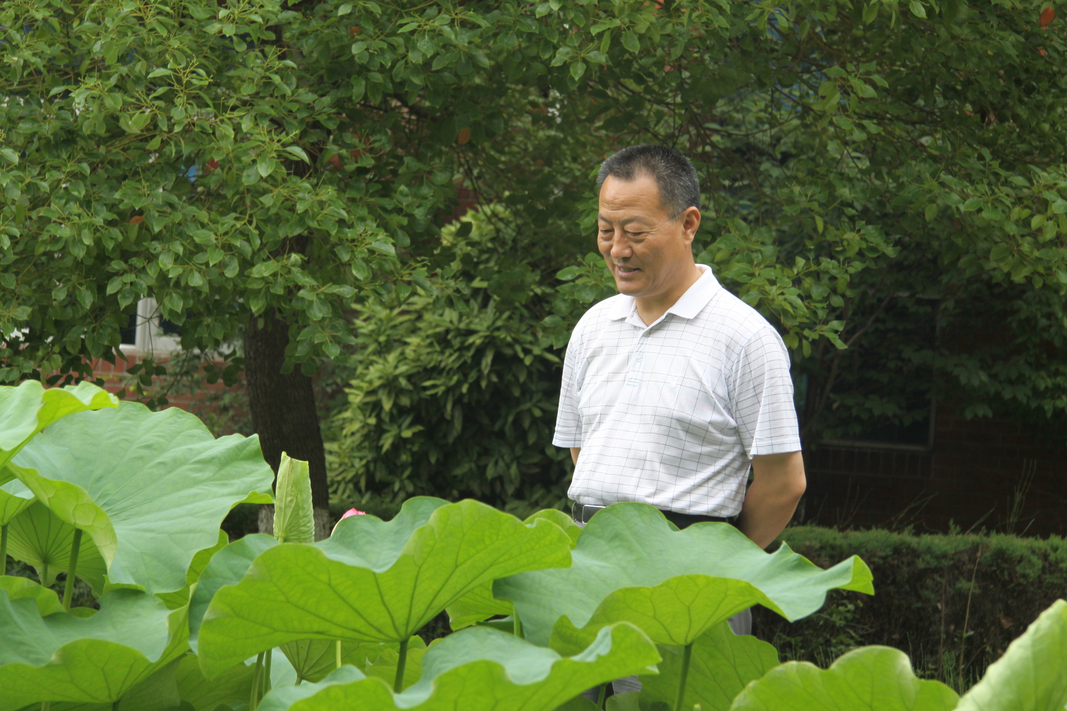 玩彩网·「中国区」官方网站