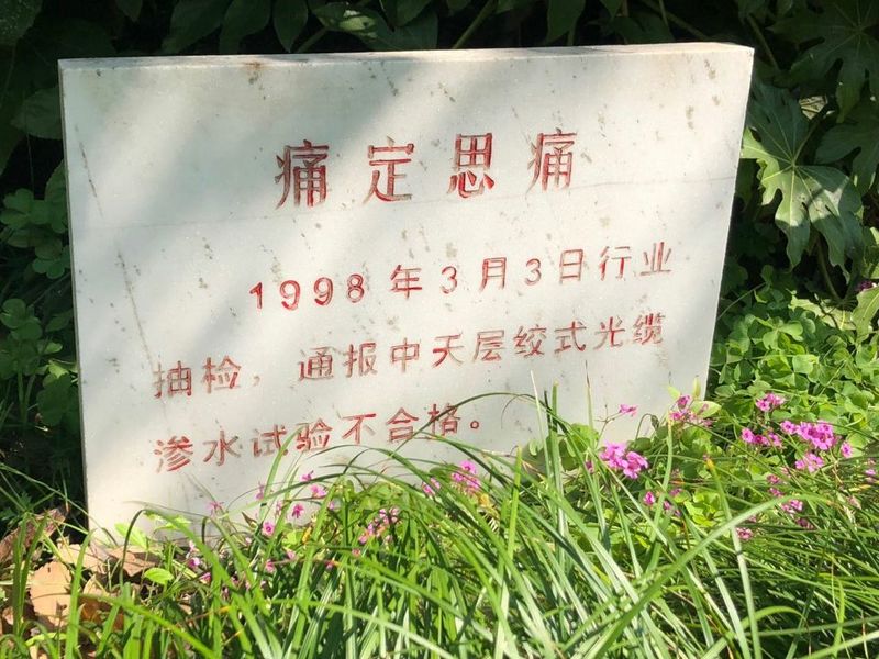 玩彩网·「中国区」官方网站