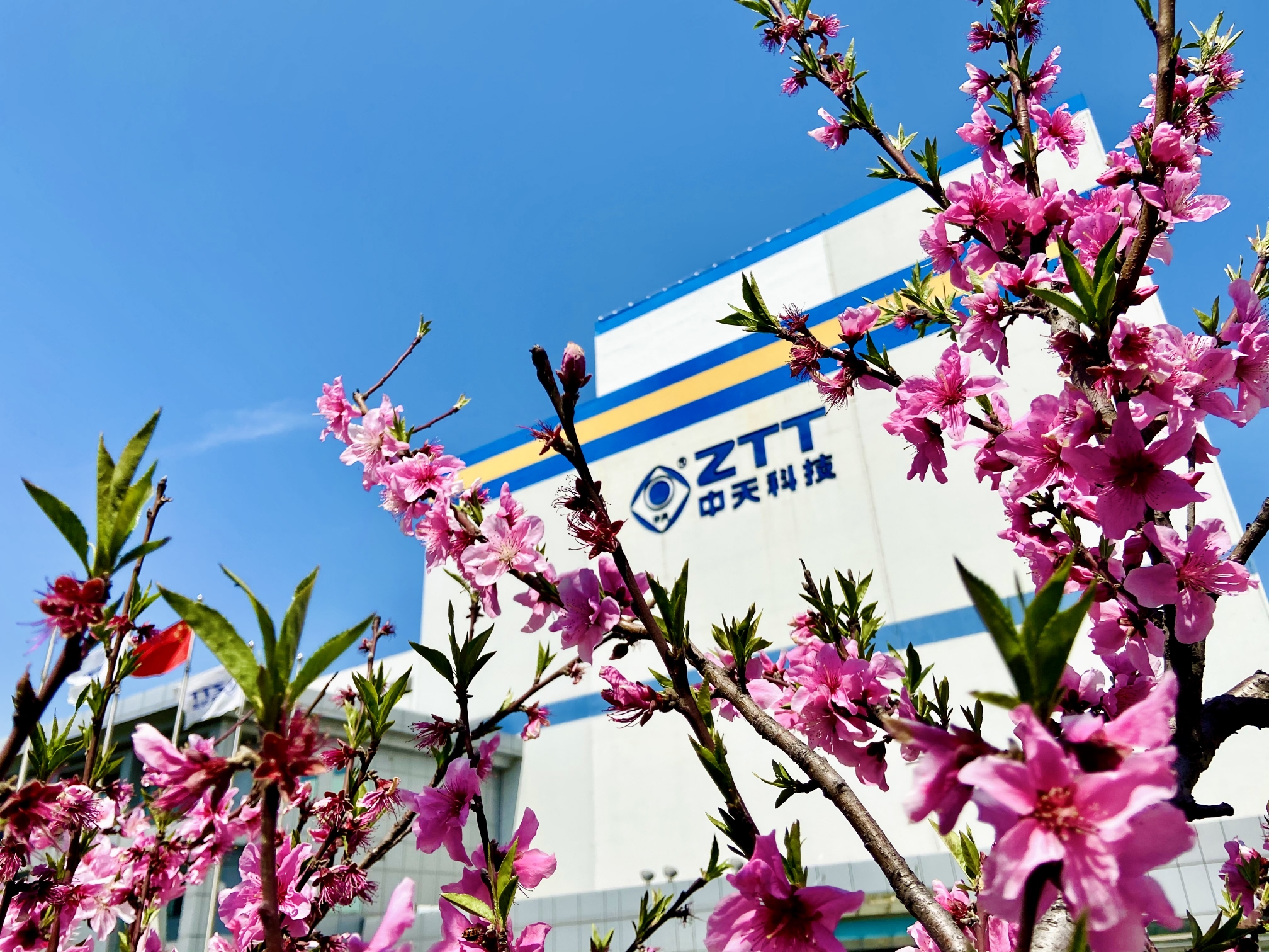 玩彩网·「中国区」官方网站