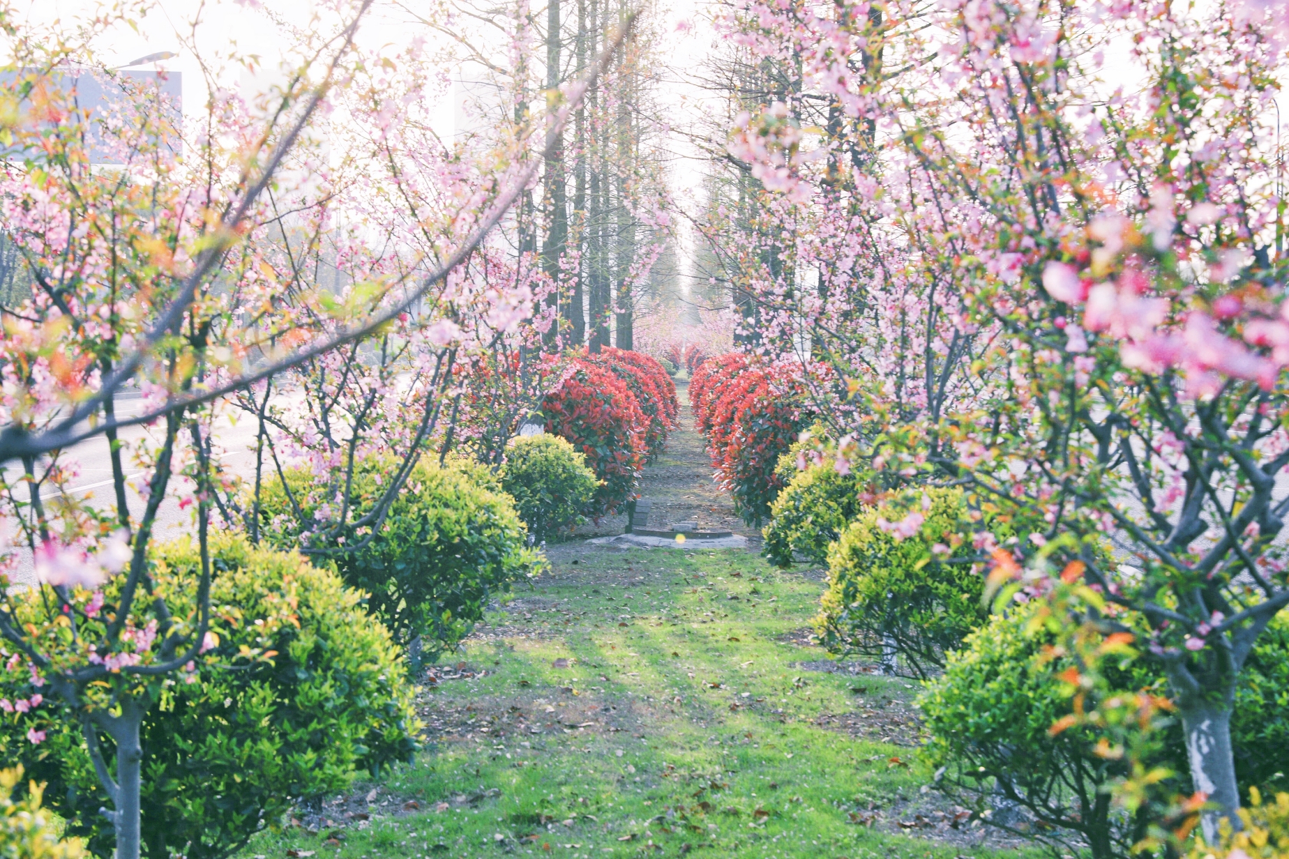 玩彩网·「中国区」官方网站