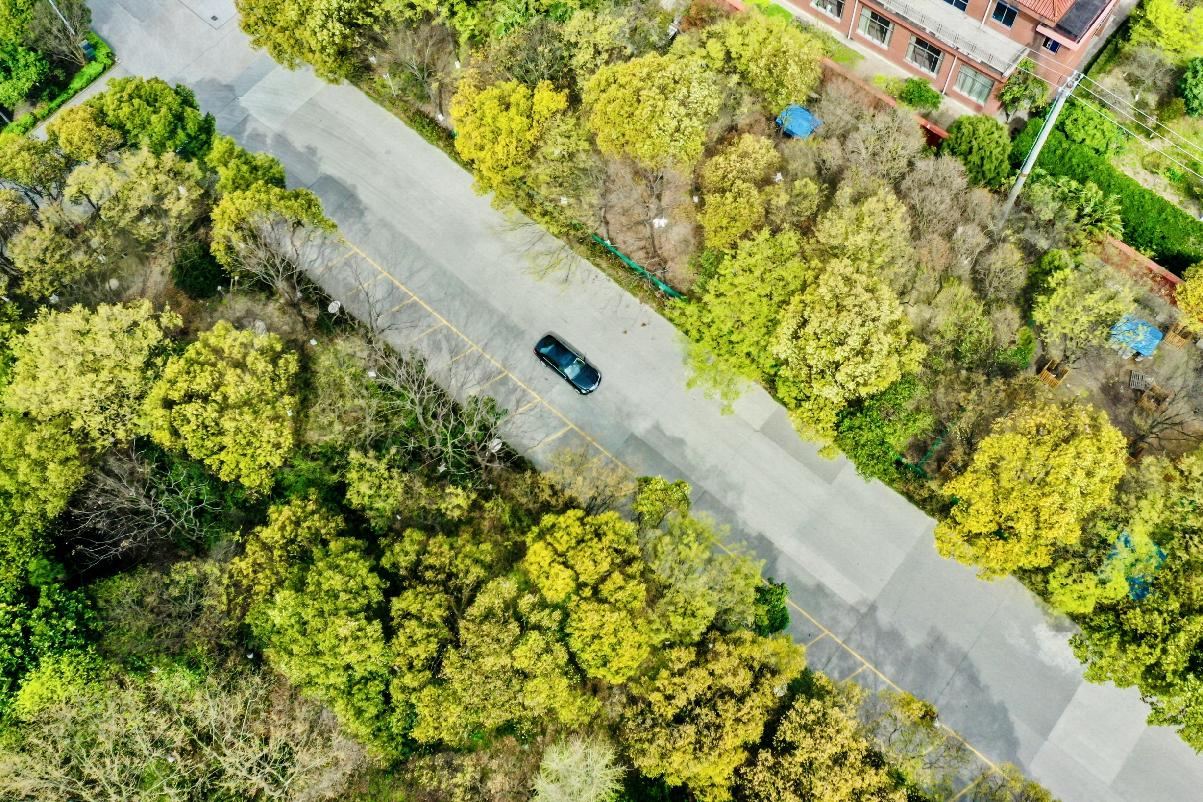 玩彩网·「中国区」官方网站