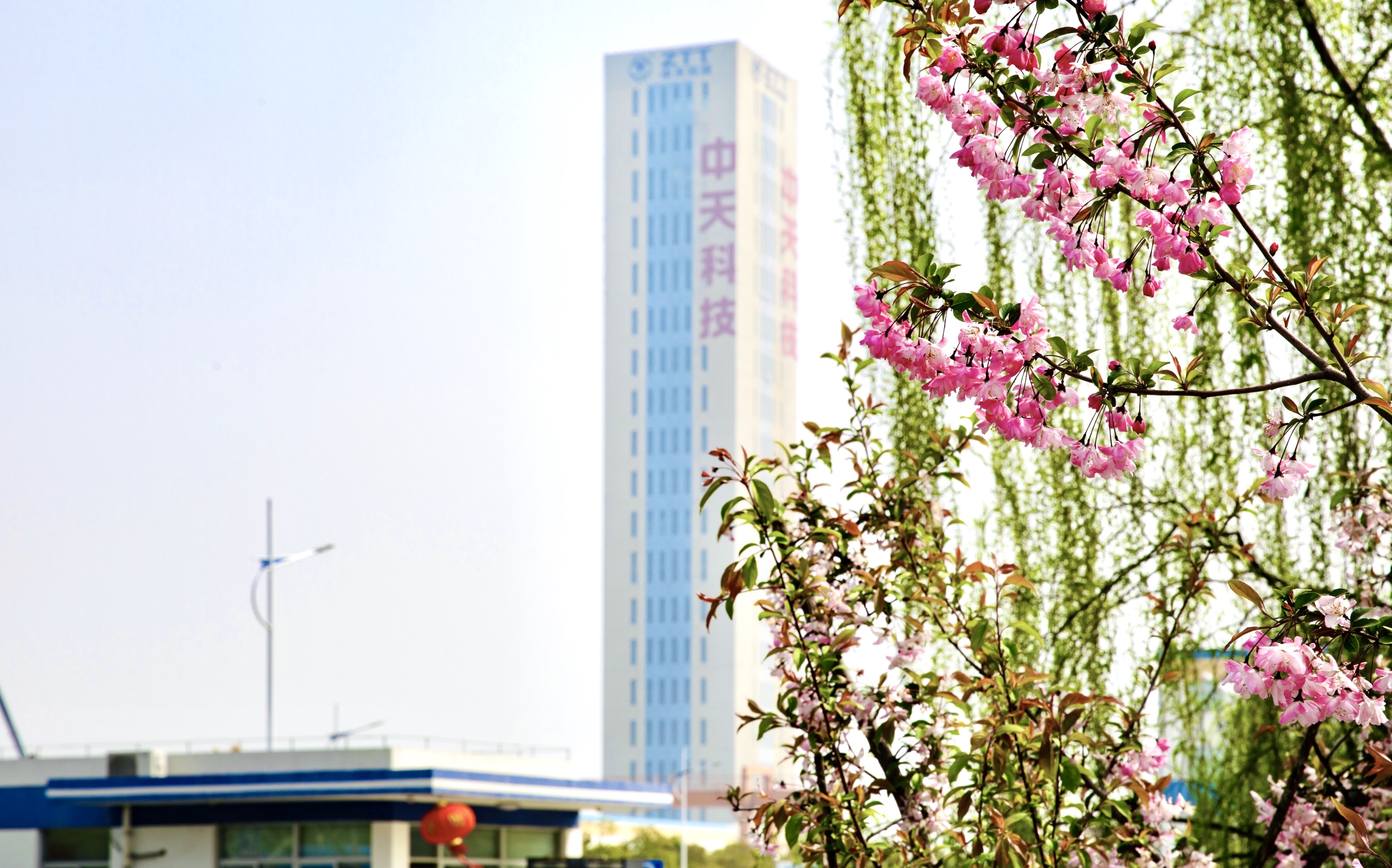 玩彩网·「中国区」官方网站