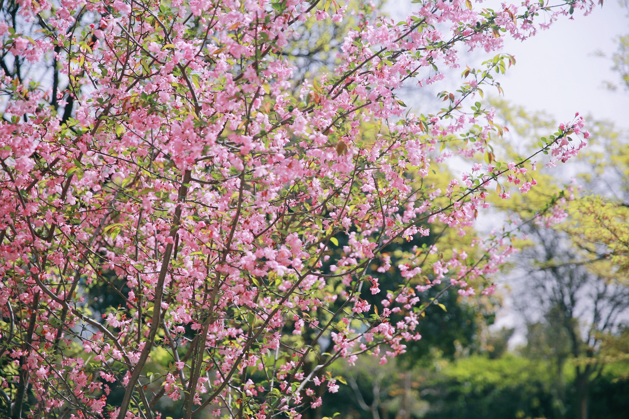 玩彩网·「中国区」官方网站