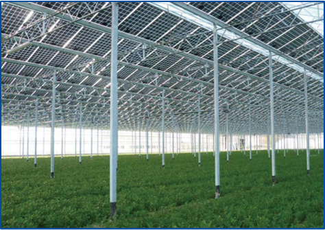 玩彩网·「中国区」官方网站