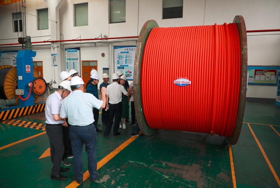 玩彩网·「中国区」官方网站