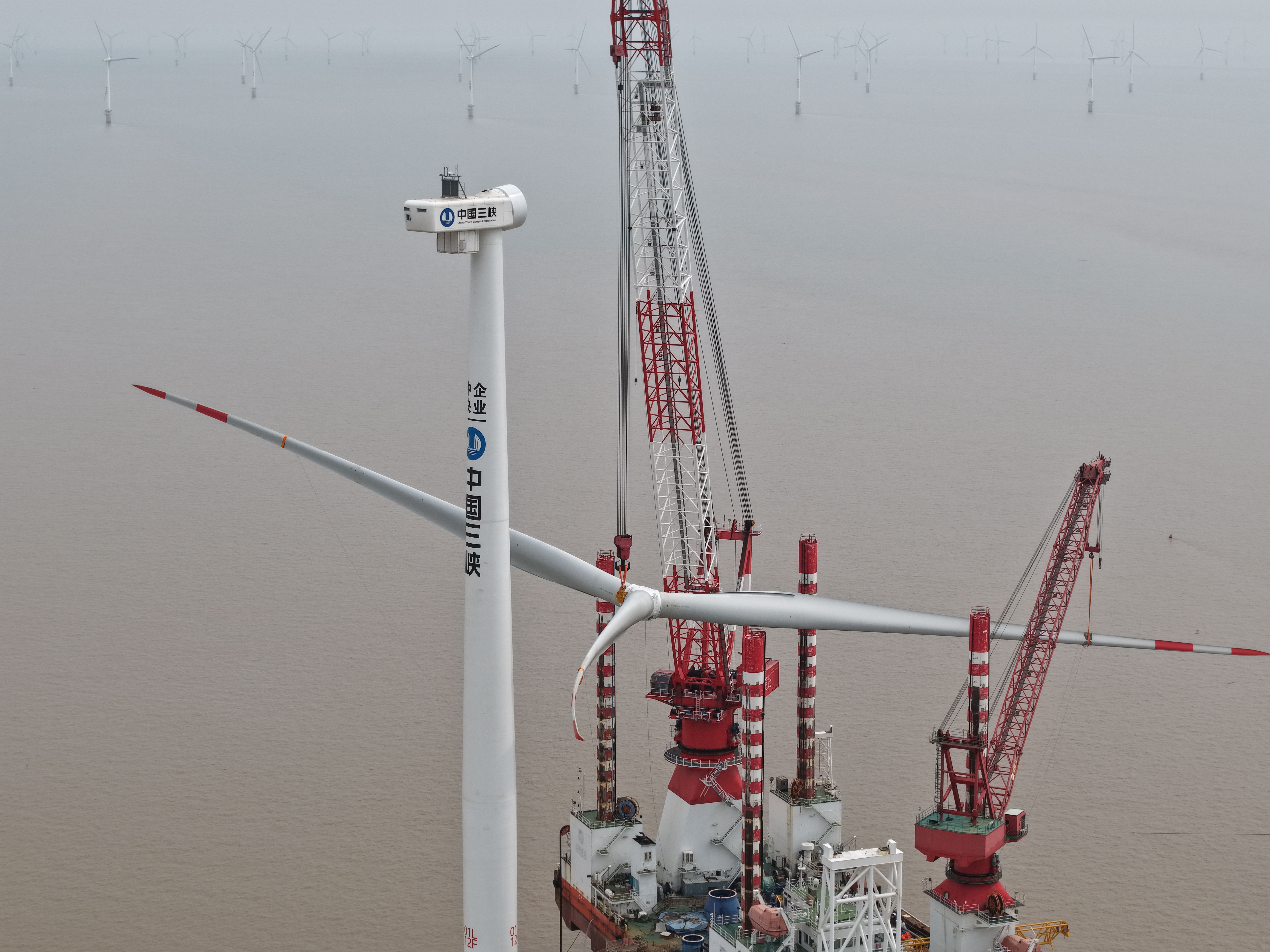 玩彩网·「中国区」官方网站